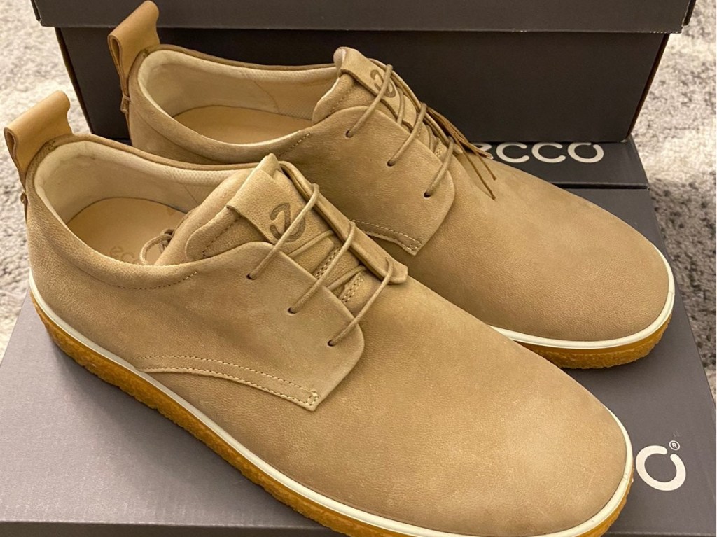 tan men's shoe on shoe box