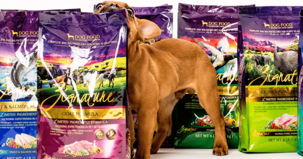 dog biting bag of Zignature dog food