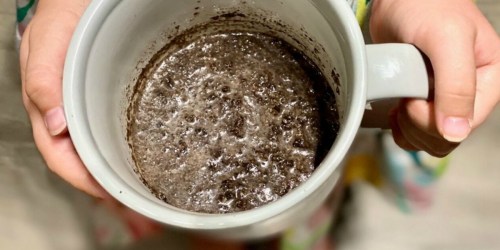 We Made the Viral Oreo Mug Cake Recipe From TikTok… & You Only Need 2-Ingredients!