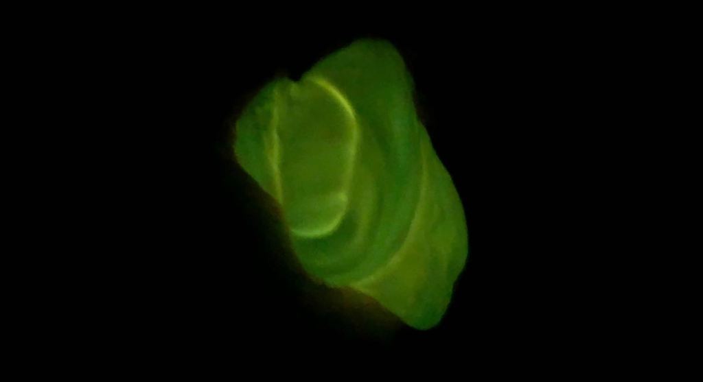 glowing ball of slime with black background