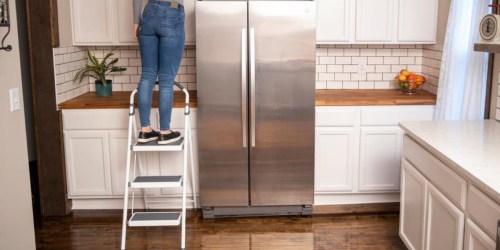 Gorilla Step Stool Ladder Only $19.98 on Home Depot (Regularly $32)