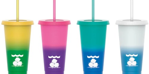 Color-Changing Tumblers Only $3.99 on Michaels.com