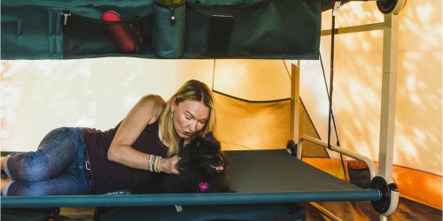 Disc-O-Bed XL Cot Bunk Beds Only $239.97 Shipped (Regularly $290)