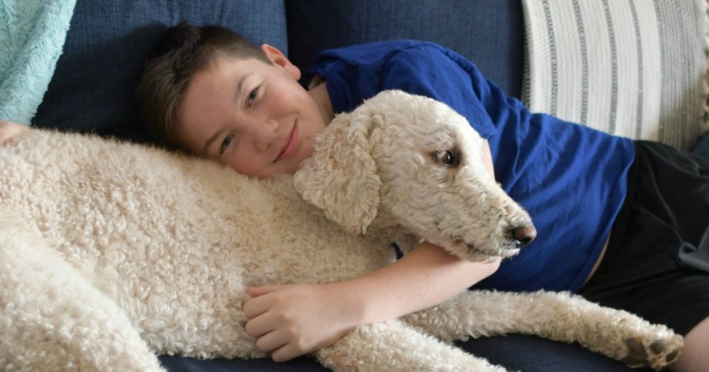 boy and dog on couch together