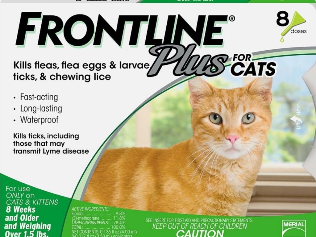 Frontline flea & tick treatments for cats