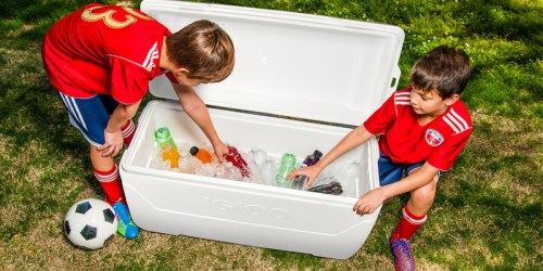 Igloo 150-Qt MaxCold Performance Cooler Only $59.94 Shipped on Sam’s Club