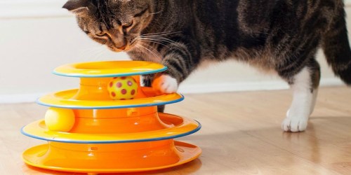 Petstages Cat Tracks Cat Toy Only $8.99 on Amazon (Regularly $25) | Over 6,000 5-Star Reviews