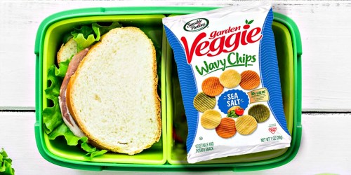 Sensible Portions Garden Veggie Chips 24-Pack Only $11 Shipped on Amazon