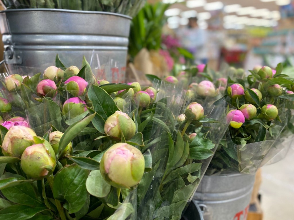 Peony bouquets in silver buckets at Trader Joe's