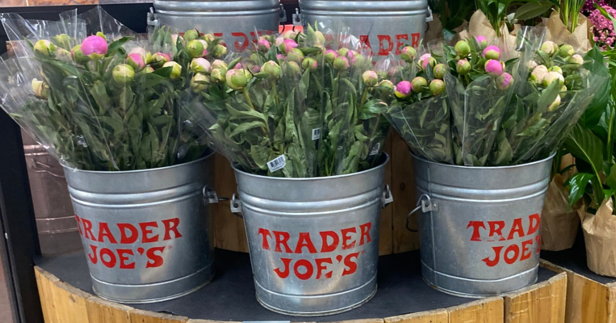 3 Trader Joe's buckets filled with peony bouquets