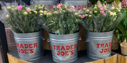 Peony 5-Stem Bunch Only $7.99 at Trader Joe’s