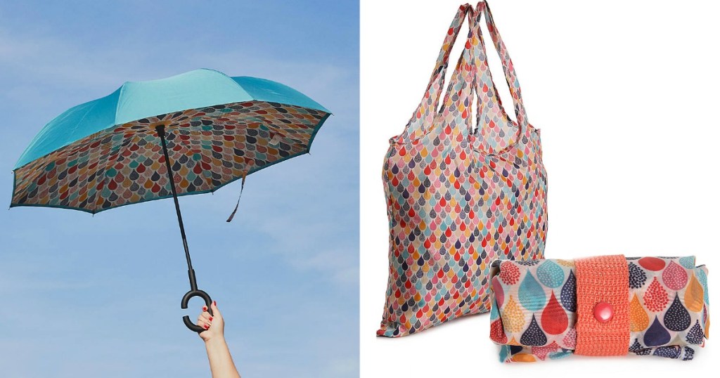 Umbrella and Bag from DSW