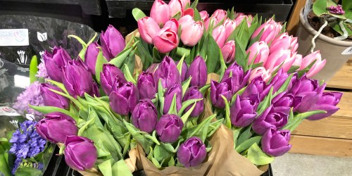 Whole Foods 20-Stem Bunch of Tulips ONLY $8.99 For Amazon Prime Members (Regularly $15)