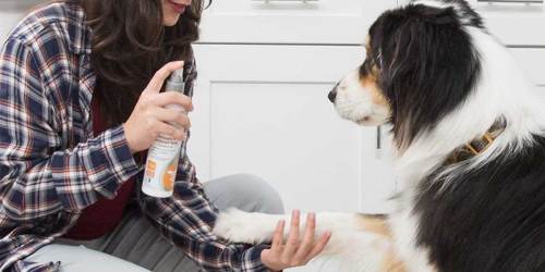 Antiseptic & Antifungal Spray for Pets Only $2.86 Shipped on Amazon