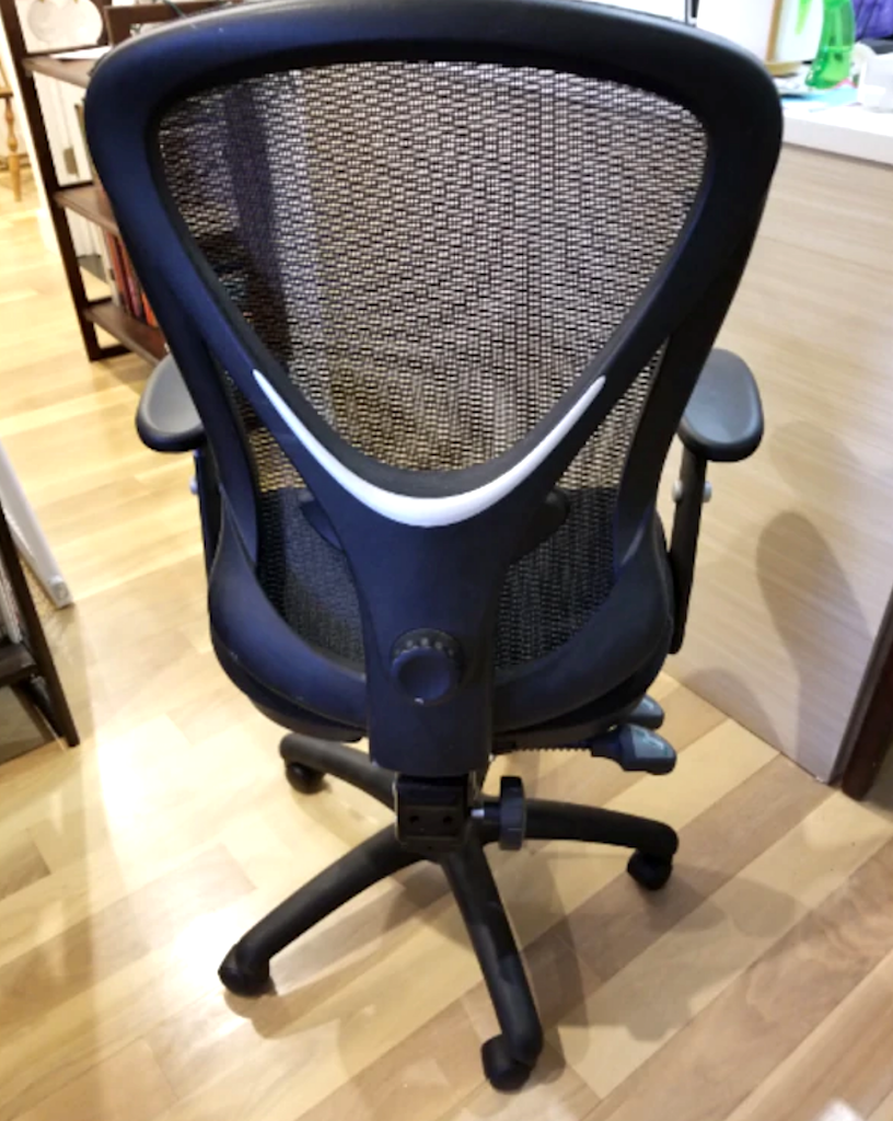 back of mesh office chair