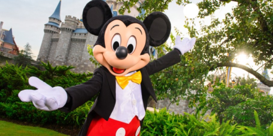 Disneyland Raised Prices AGAIN– And Walt Disney World Is Next!