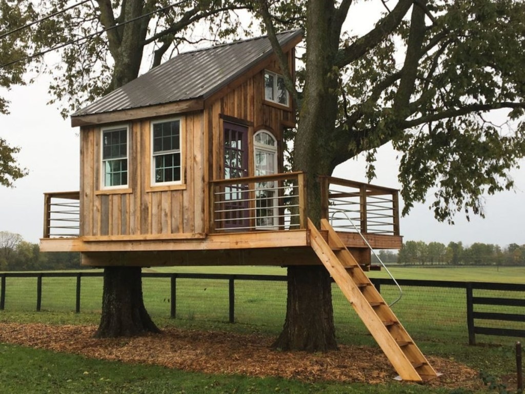 treehouse in between two trees