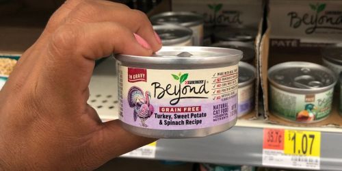 Purina Beyond Grain-Free Cat Food 12-Pack Just $6.93 Shipped on Amazon (Regularly $14)