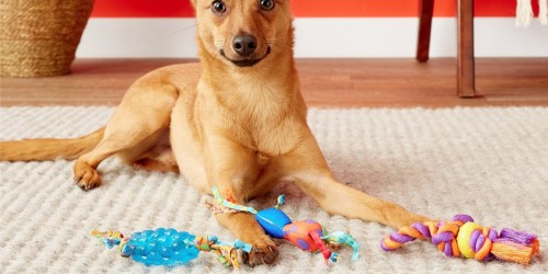 Up to 70% Off Pet Toys on Petsmart.com