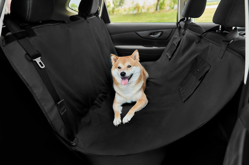 dog in a hammock in the back of a car