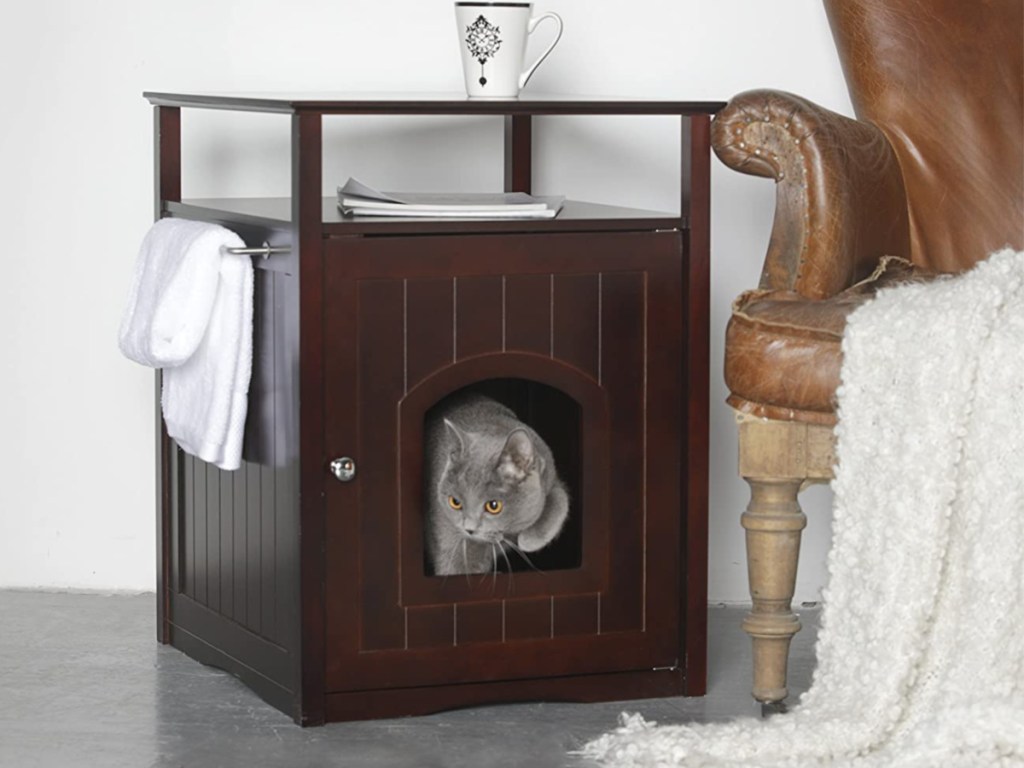 gray cat coming out of walnut little box cover table