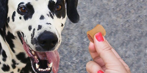 Milk-Bone Dog Treats 40oz Jars Just $5.89 Each Shipped on Amazon (Regularly $12)