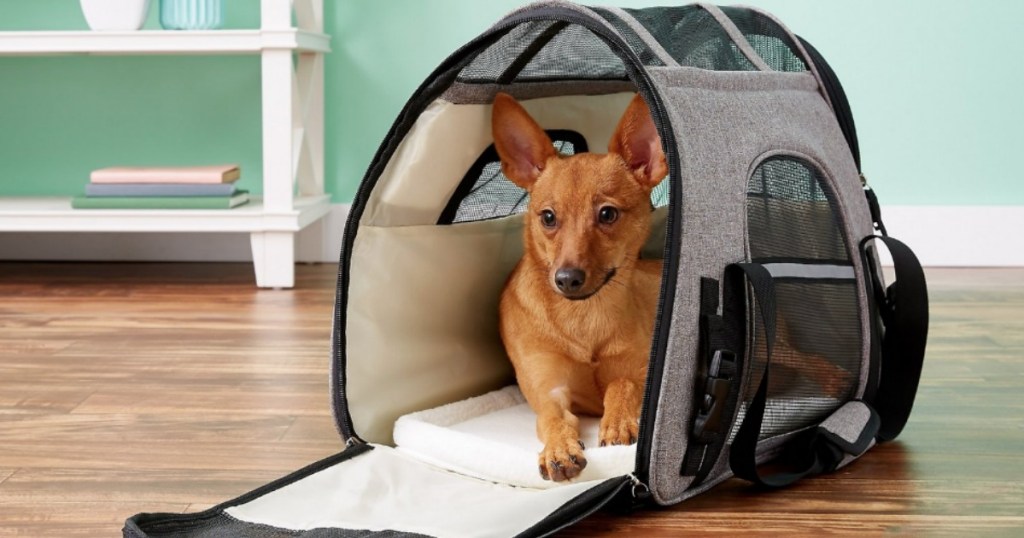 Small dog inside Mr. Peanuts pet Carrier