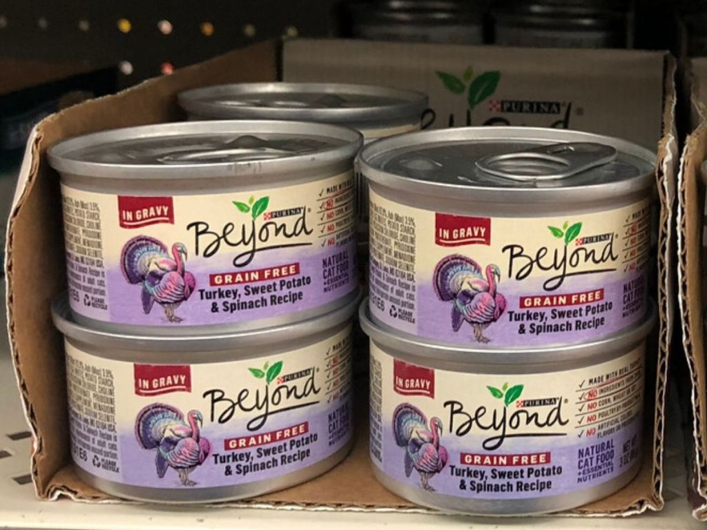 cans of cat food