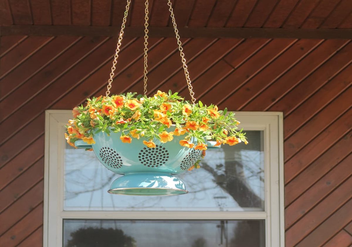 diy hanging colander plant holder