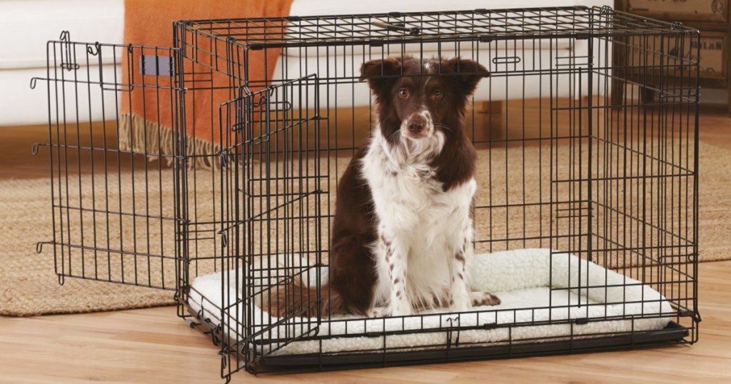 dog in black dog crate in living room