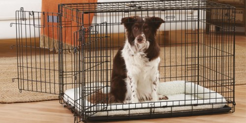 Double Door 36″ Wire Dog Crate Only $23.97 on PetSmart.com (Regularly $60)