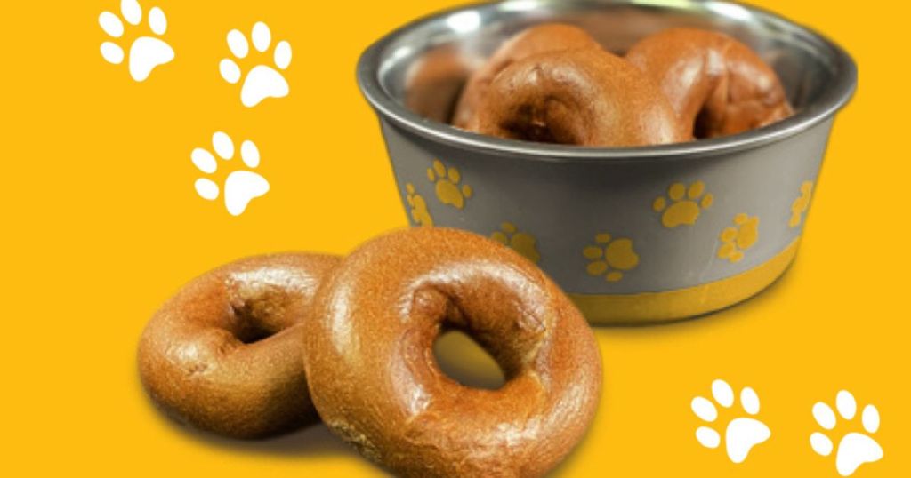 dog bowl filled with doggie bagels