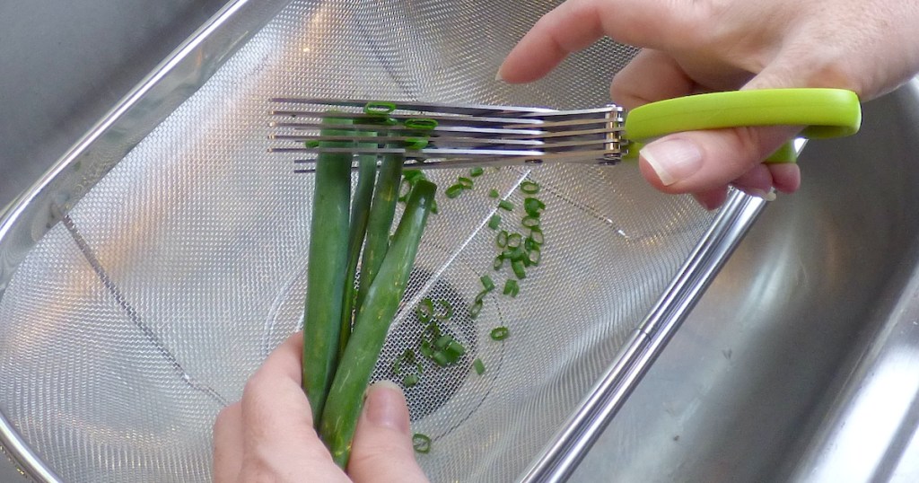 hand holding a pair of multi blade scissors cutting scallions