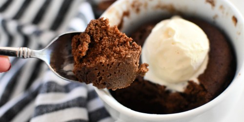 Make a Yummy Nutella Mug Cake For One in the Microwave!