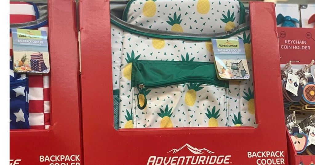 Cooler backpack on shelf at store