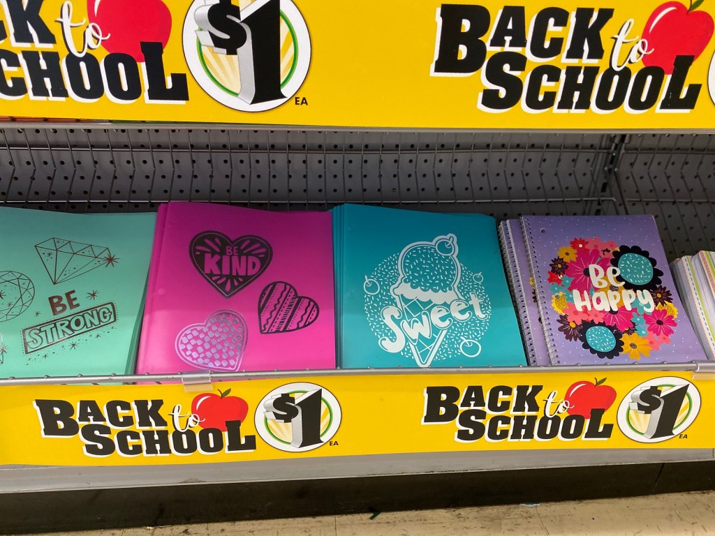 Dollar Tree Folders