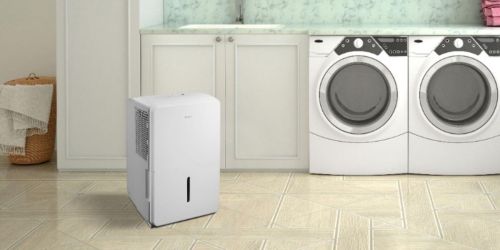 Insignia 35-Pint Dehumidifier Only $119.99 Shipped on BestBuy.com (Regularly $200)