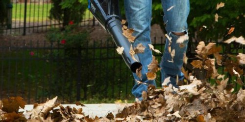 Kobalt Cordless String Trimmer, Blower, Battery & Charger Only $159 on Lowes.com (Regularly $314)