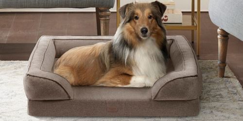 Up to 65% Off Pet Beds on Macys.com
