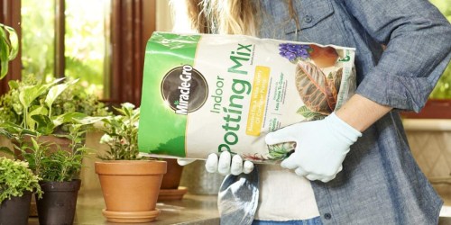 Miracle-Gro Indoor Potting Mix 2-Pack Only $7.97 on Amazon (Just $3.99 Each)