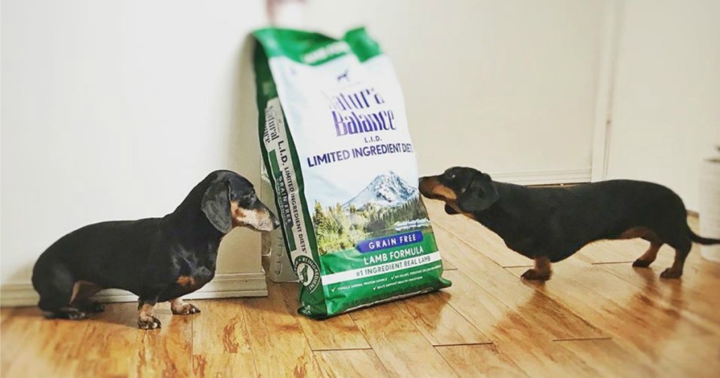 Natural Balance Dog Food next to two small weiner dogs