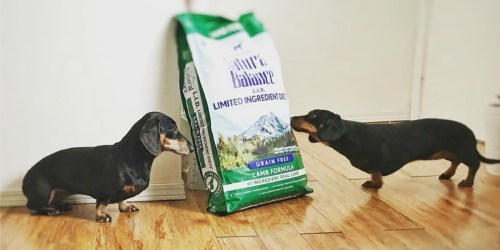 Natural Balance Limited Ingredient Dog Food Just $13.44 Shipped on Amazon (Regularly $20.67)