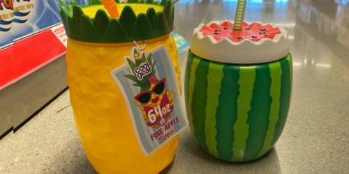 Cool Gear 64oz Sippers Only $4.99 at ALDI | Pineapple, Stein & More