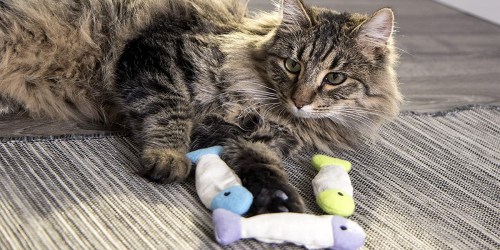 Catnip Cat Toy 3-Pack Only $1.64 on Chewy.com