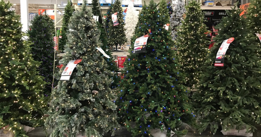 Christmas trees on store floor