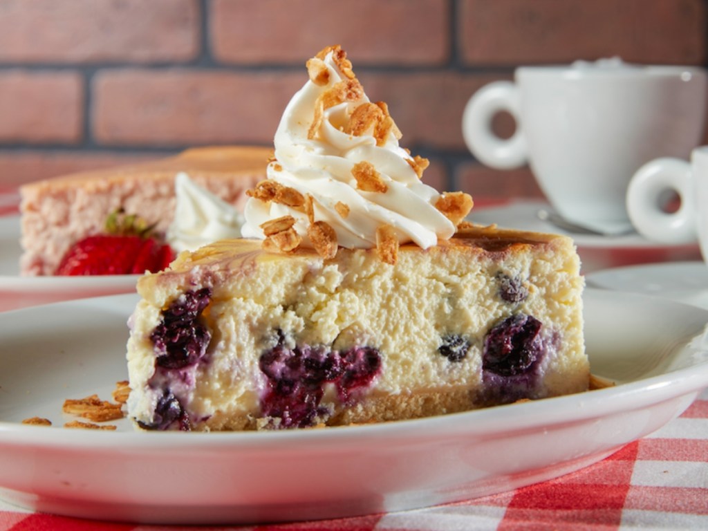 blueberry cheesecake topped with whipped cream