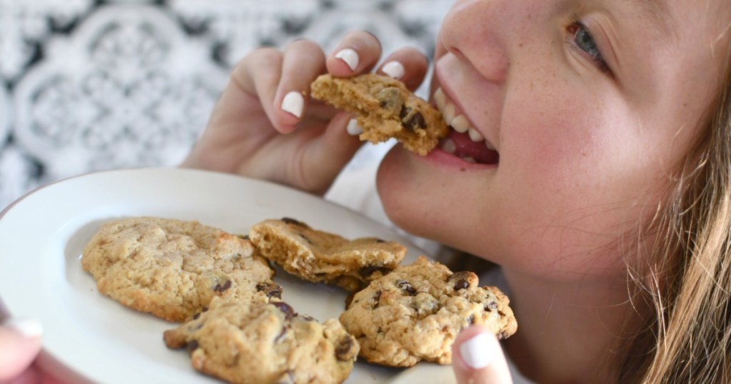 plate of sugar free chocolate chip cookies