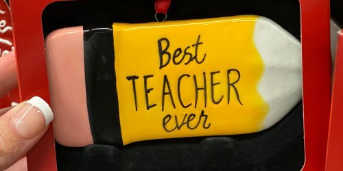 Best Teacher Discounts in 2023 (Save BIG On Everything from Shoes to Software!)
