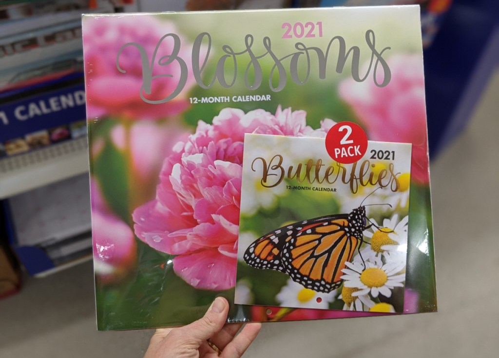 butterfly calendar at dollar tree