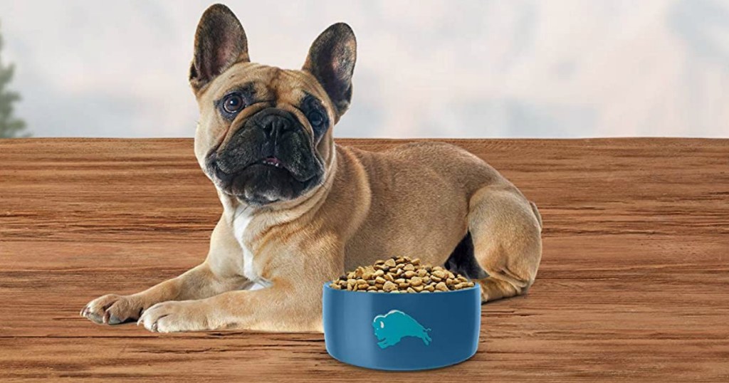 Small dog laying on wooden surface with a small blue bowl